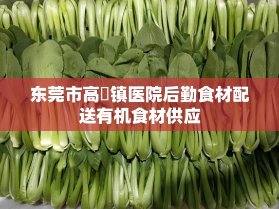 东莞市高埗镇医院后勤食材配送有机食材供应