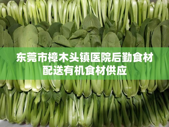 东莞市樟木头镇医院后勤食材配送有机食材供应