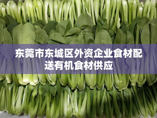 东莞市东城区外资企业食材配送有机食材供应