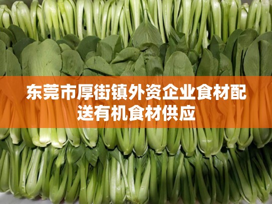 东莞市厚街镇外资企业食材配送有机食材供应