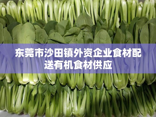 东莞市沙田镇外资企业食材配送有机食材供应
