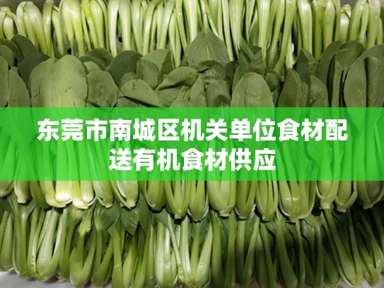 东莞市南城区机关单位食材配送有机食材供应