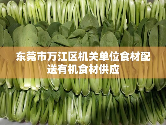 东莞市万江区机关单位食材配送有机食材供应