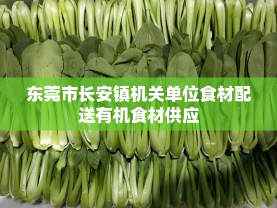 东莞市长安镇机关单位食材配送有机食材供应