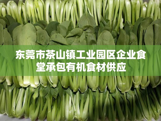 东莞市茶山镇工业园区企业食堂承包有机食材供应