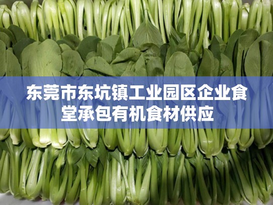 东莞市东坑镇工业园区企业食堂承包有机食材供应