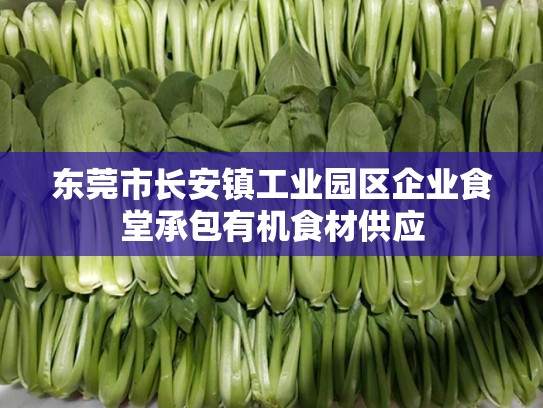 东莞市长安镇工业园区企业食堂承包有机食材供应