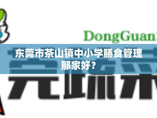东莞市茶山镇中小学膳食管理那家好？