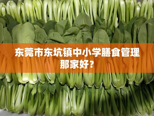 东莞市东坑镇中小学膳食管理那家好？