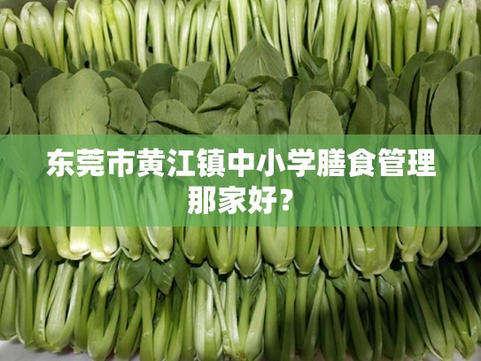 东莞市黄江镇中小学膳食管理那家好？