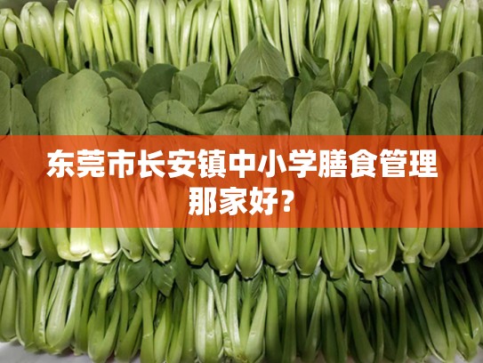 东莞市长安镇中小学膳食管理那家好？