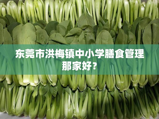 东莞市洪梅镇中小学膳食管理那家好？
