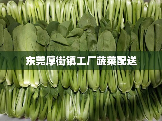 东莞厚街镇工厂蔬菜配送