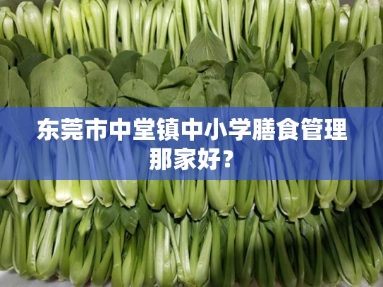 东莞市中堂镇中小学膳食管理那家好？