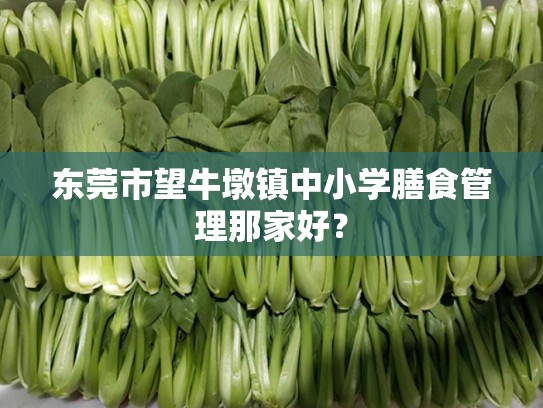 东莞市望牛墩镇中小学膳食管理那家好？