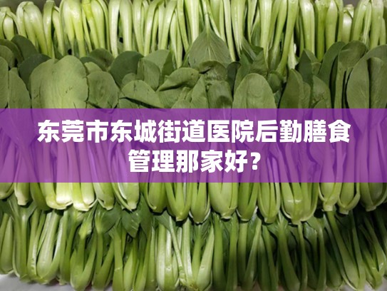 东莞市东城街道医院后勤膳食管理那家好？