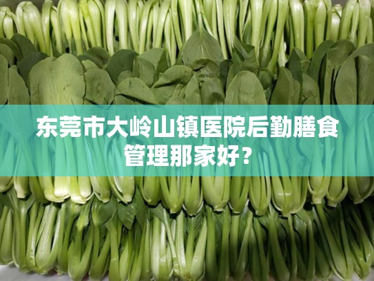 东莞市大岭山镇医院后勤膳食管理那家好？