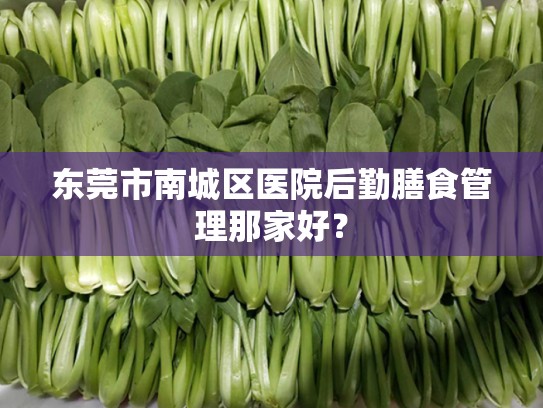 东莞市南城区医院后勤膳食管理那家好？