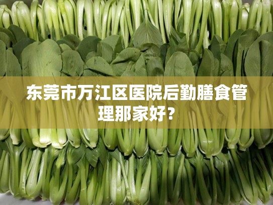 东莞市万江区医院后勤膳食管理那家好？