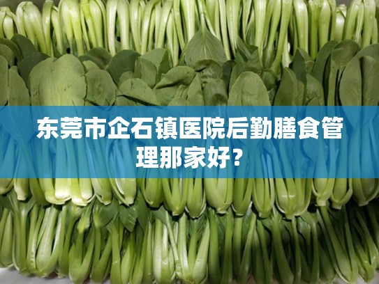 东莞市企石镇医院后勤膳食管理那家好？