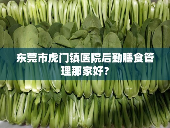 东莞市虎门镇医院后勤膳食管理那家好？