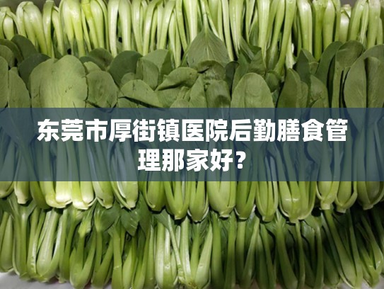 东莞市厚街镇医院后勤膳食管理那家好？
