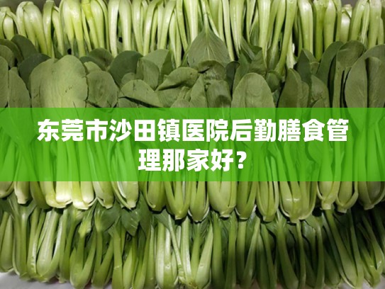 东莞市沙田镇医院后勤膳食管理那家好？