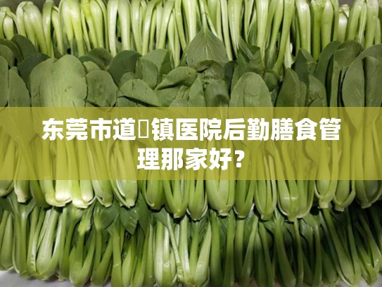 东莞市道滘镇医院后勤膳食管理那家好？
