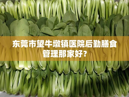 东莞市望牛墩镇医院后勤膳食管理那家好？