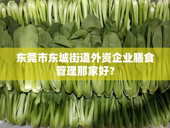 东莞市东城街道外资企业膳食管理那家好？