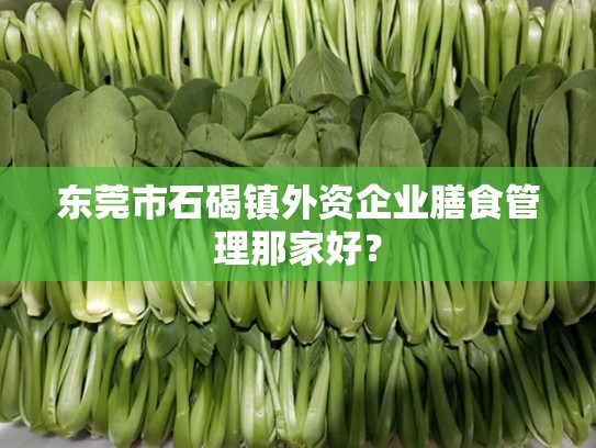 东莞市石碣镇外资企业膳食管理那家好？