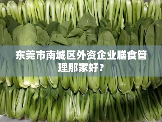 东莞市南城区外资企业膳食管理那家好？