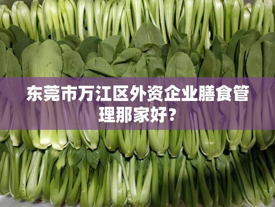 东莞市万江区外资企业膳食管理那家好？
