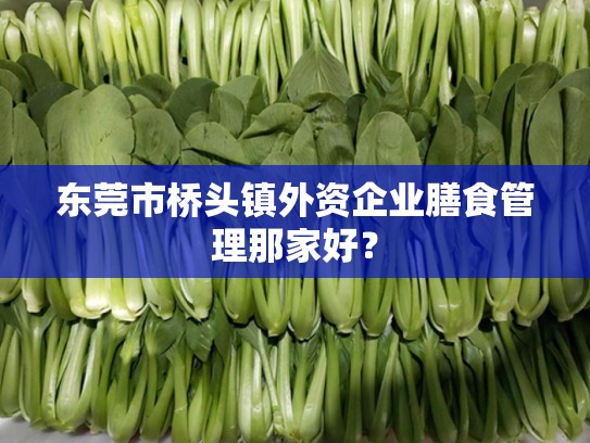 东莞市桥头镇外资企业膳食管理那家好？