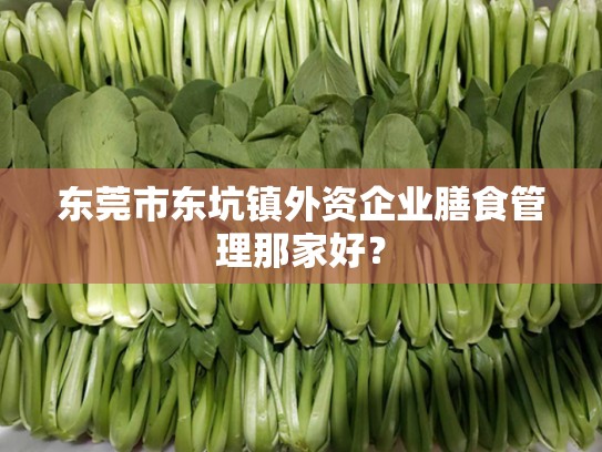 东莞市东坑镇外资企业膳食管理那家好？