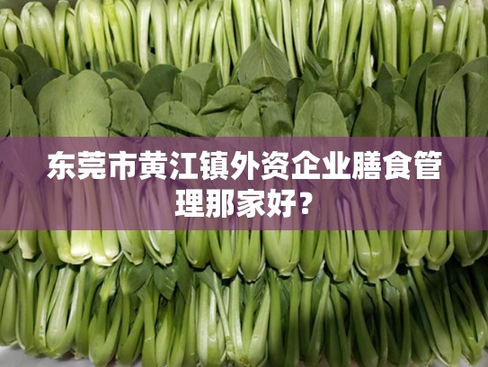 东莞市黄江镇外资企业膳食管理那家好？