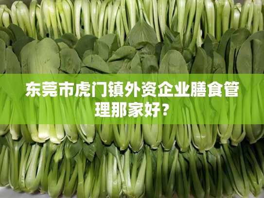 东莞市虎门镇外资企业膳食管理那家好？