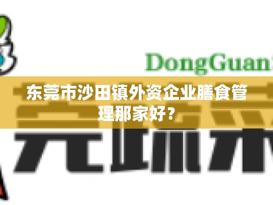 东莞市沙田镇外资企业膳食管理那家好？