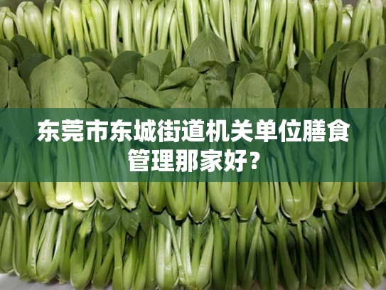 东莞市东城街道机关单位膳食管理那家好？
