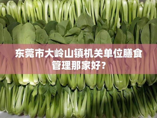 东莞市大岭山镇机关单位膳食管理那家好？