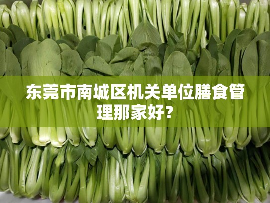 东莞市南城区机关单位膳食管理那家好？
