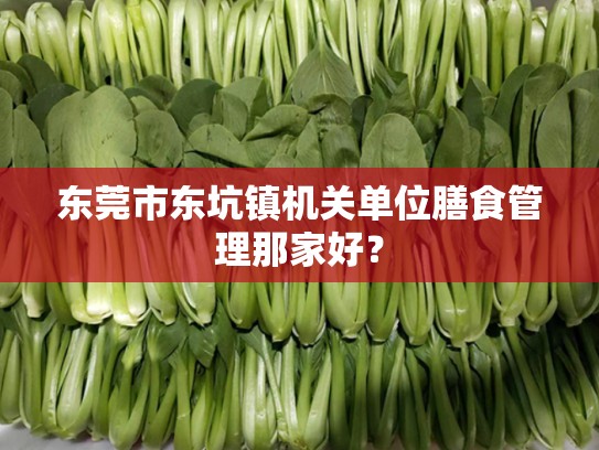 东莞市东坑镇机关单位膳食管理那家好？