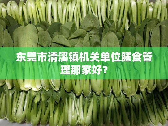 东莞市清溪镇机关单位膳食管理那家好？