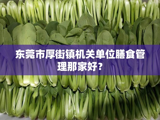 东莞市厚街镇机关单位膳食管理那家好？