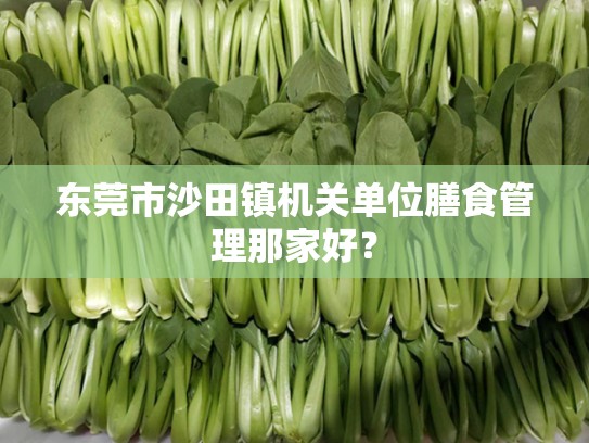 东莞市沙田镇机关单位膳食管理那家好？