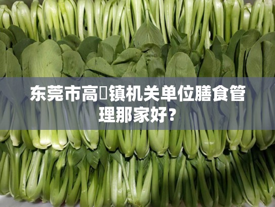 东莞市高埗镇机关单位膳食管理那家好？
