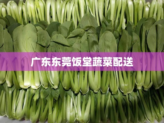 广东东莞饭堂蔬菜配送