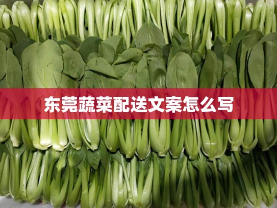 东莞蔬菜配送文案怎么写