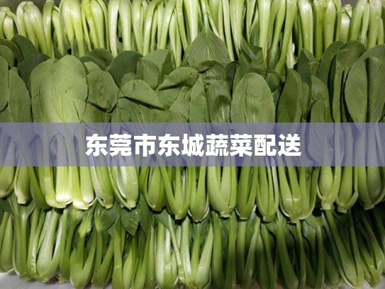 东莞市东城蔬菜配送