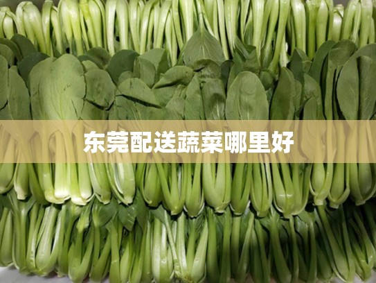 东莞配送蔬菜哪里好